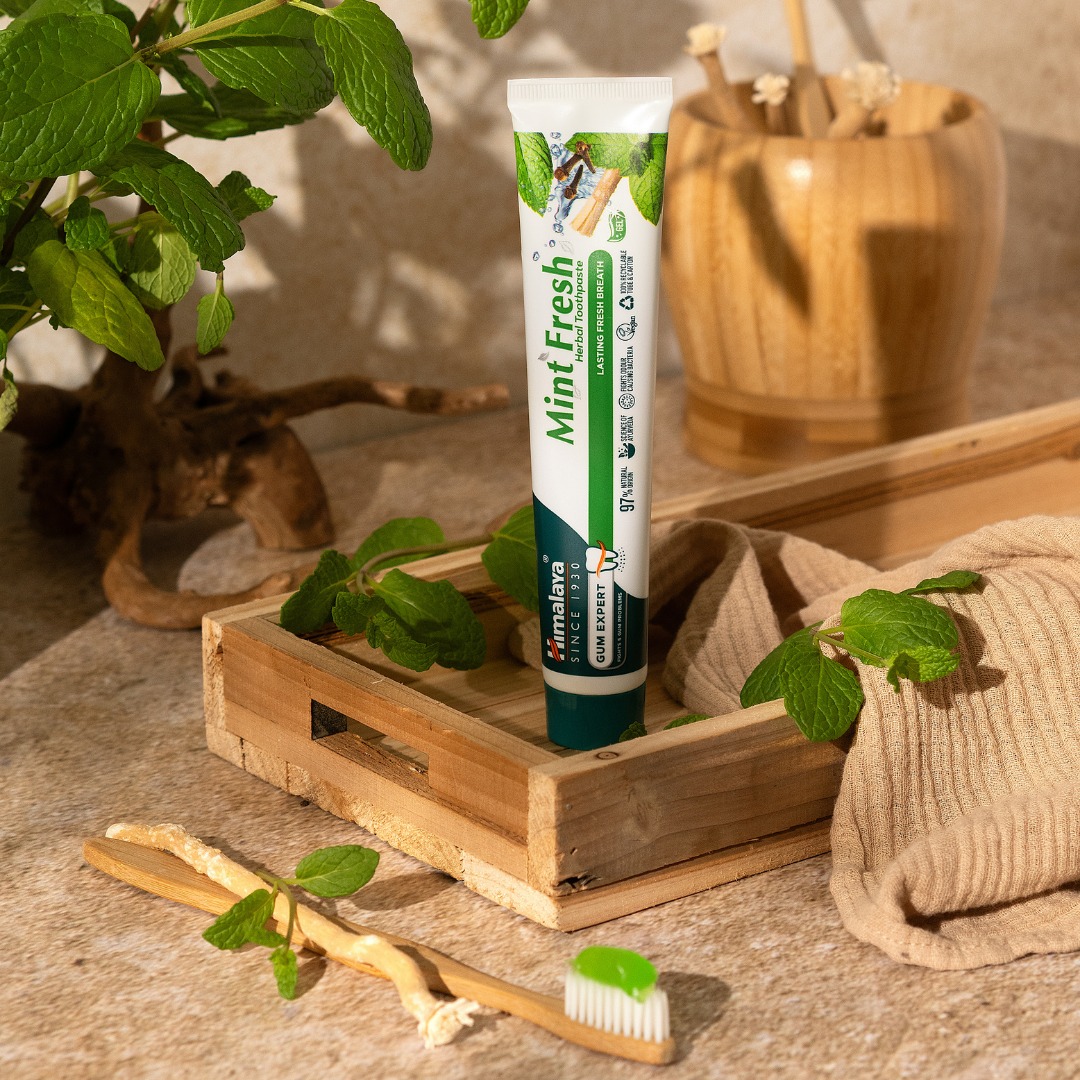 500739292 1274278701370613 8819564031269478200 n