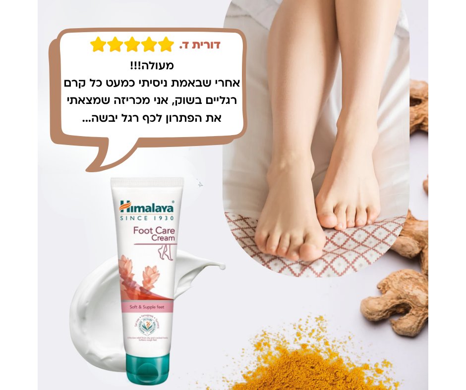 574058762 1453735506758264 8920618217571001727 n