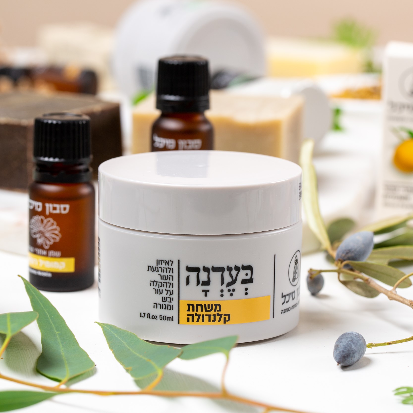 488582964 1083008140519310 8858120402280566854 n