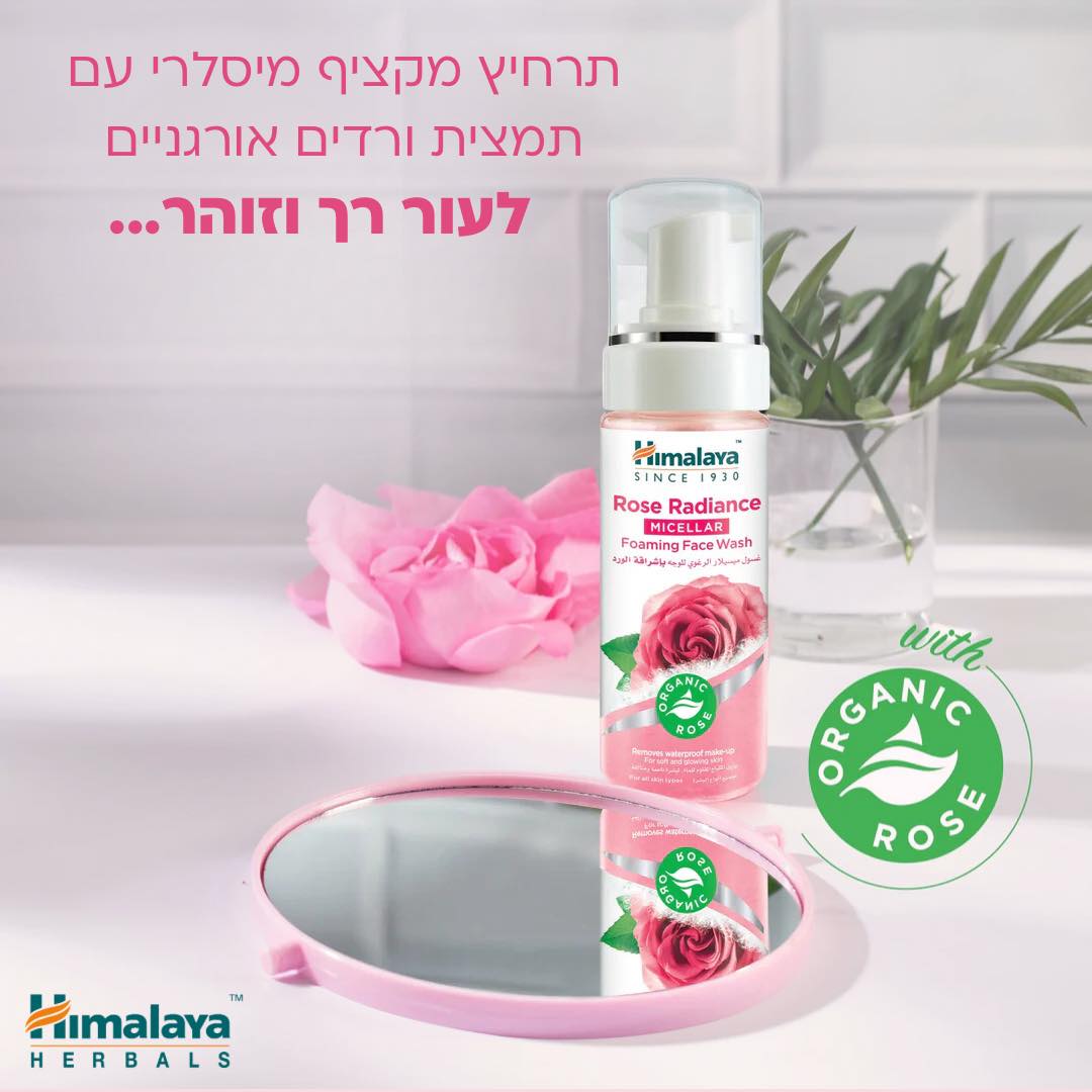 491058833 1222806039851213 6621334731550796123 n