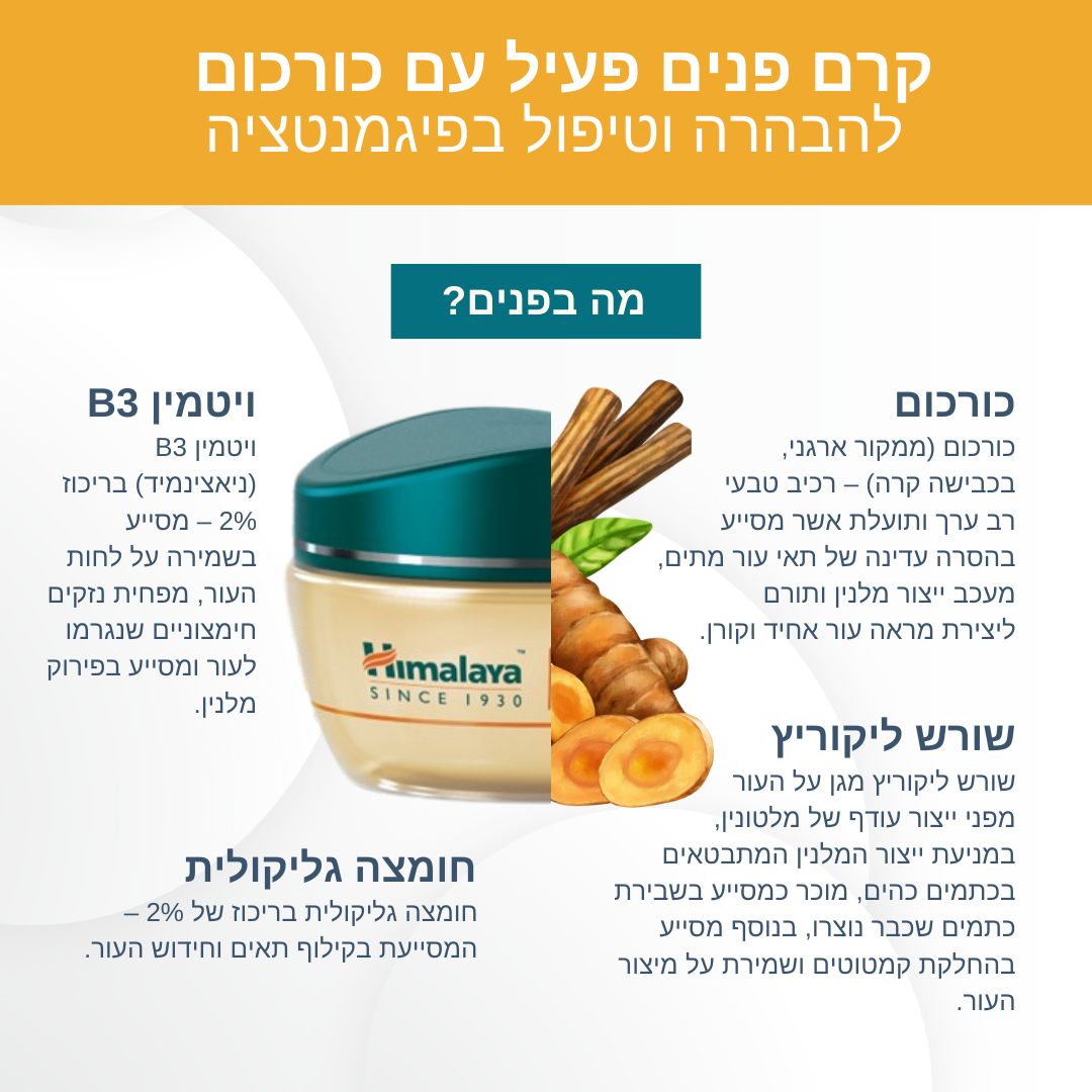 493951871 1239265224871961 5695234707975865252 n