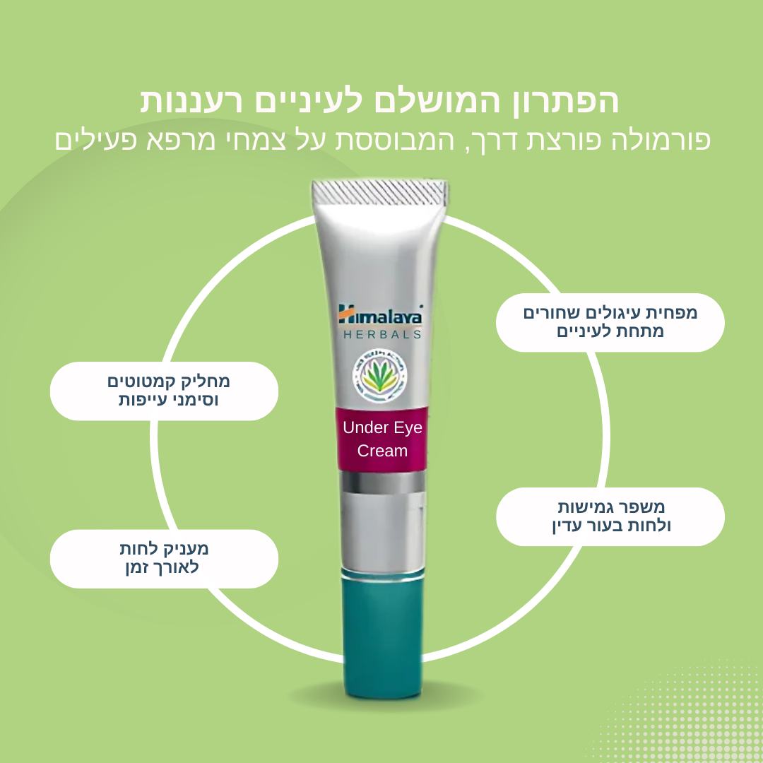 494288339 1240378178093999 1815043962516363031 n