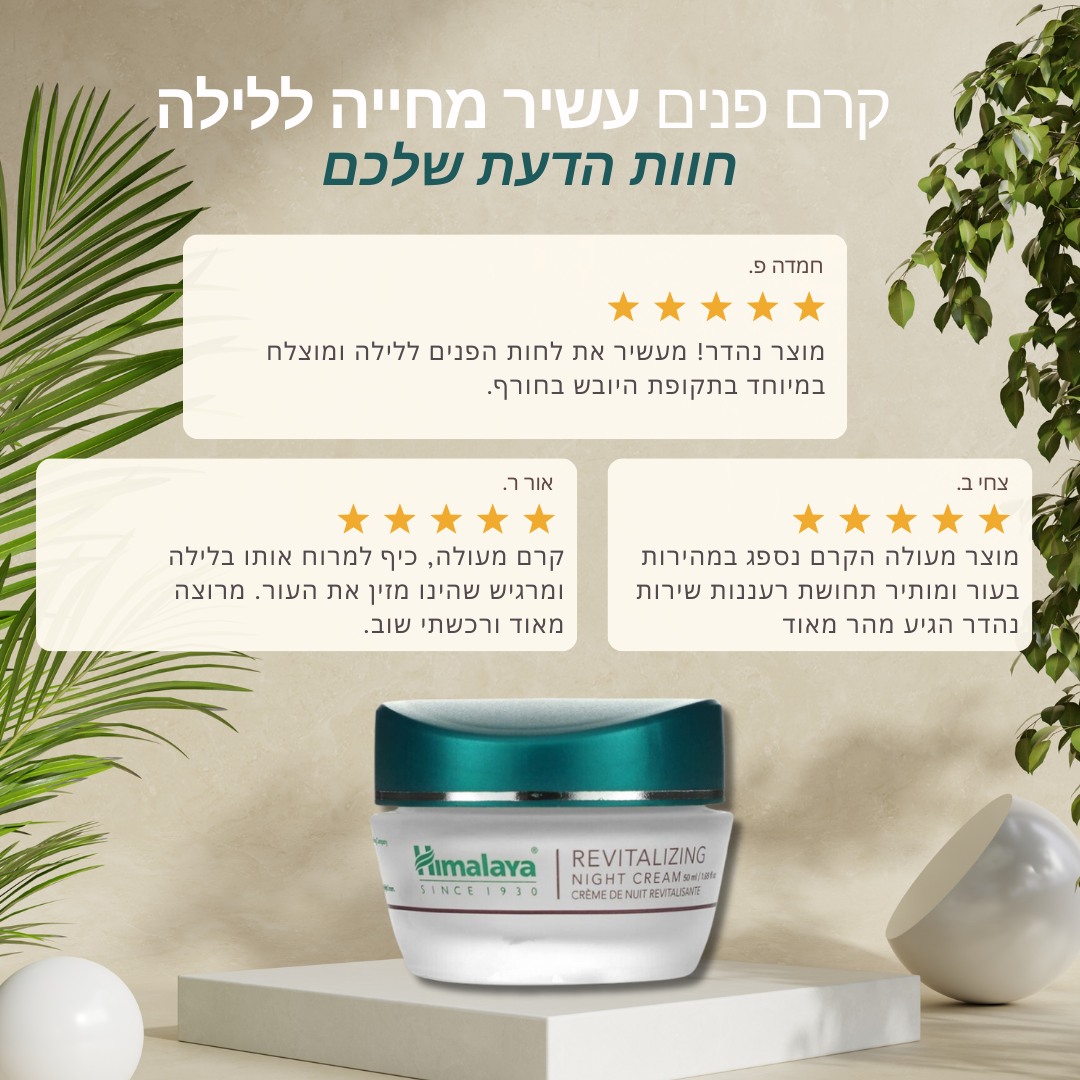 494365185 1240900374708446 440065476981292847 n