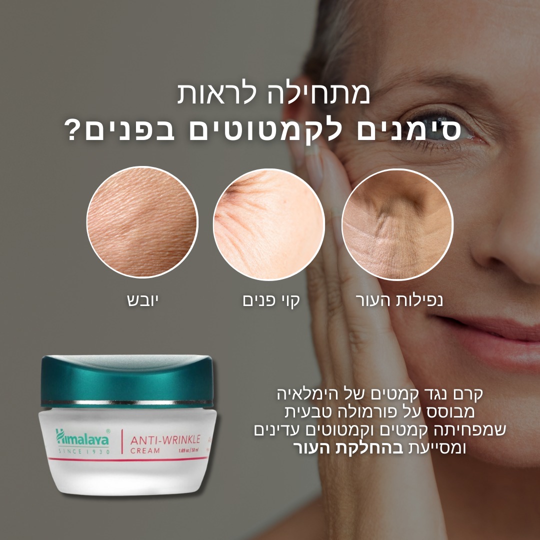 494630106 1240900354708448 3537709618491670929 n