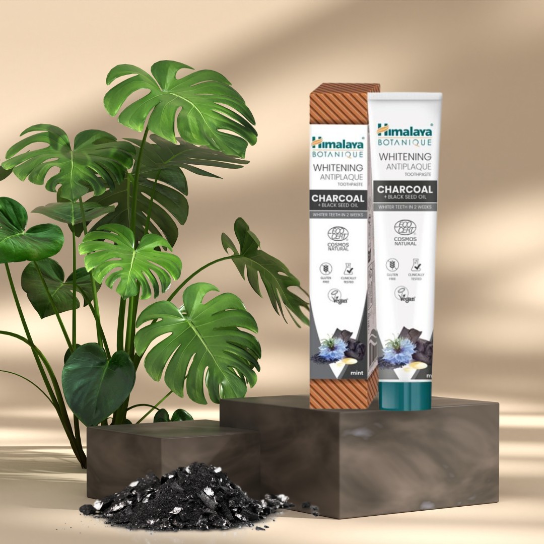 494642430 1240900201375130 6100631778073060844 n