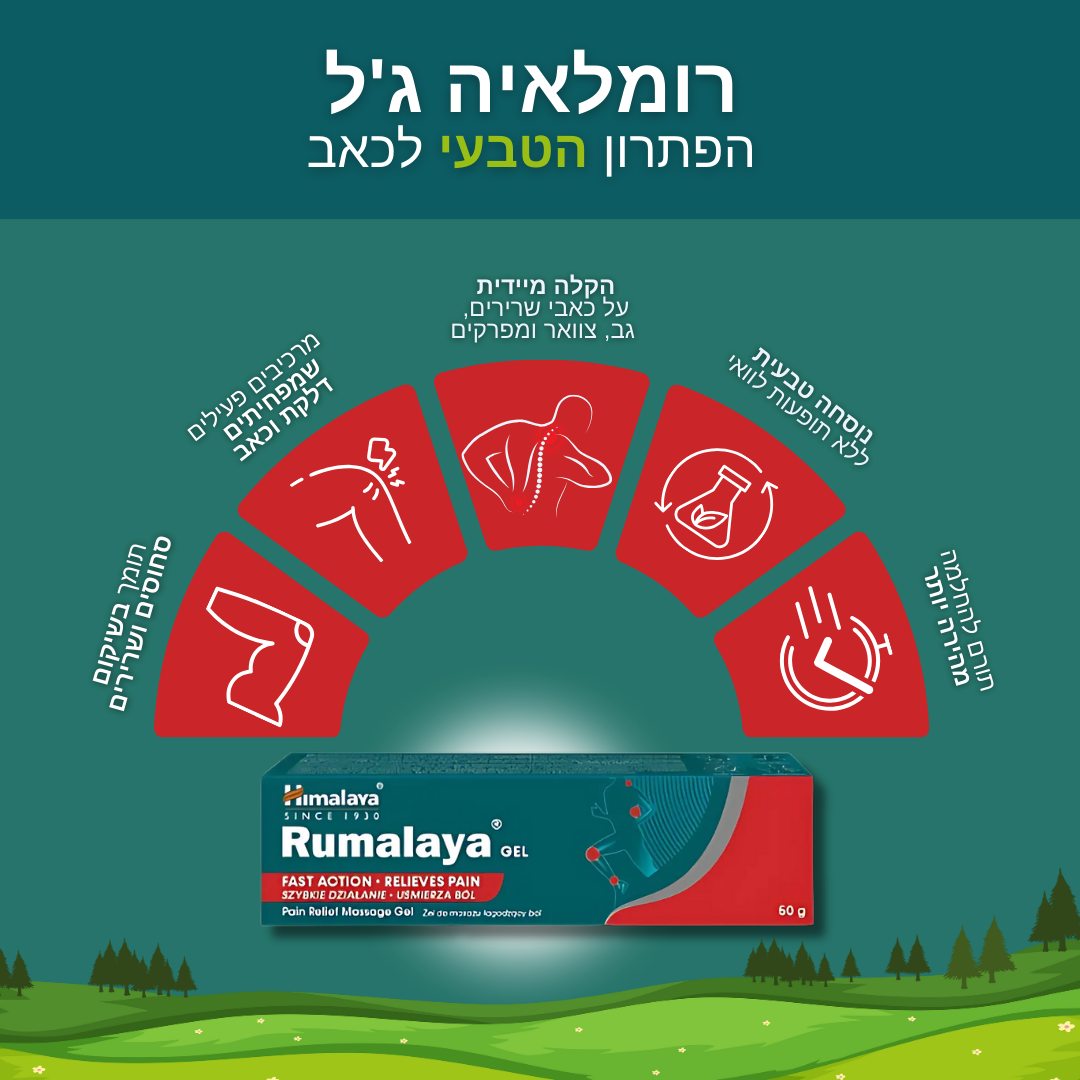 488227685 4136000593391695 2439671441095419937 n