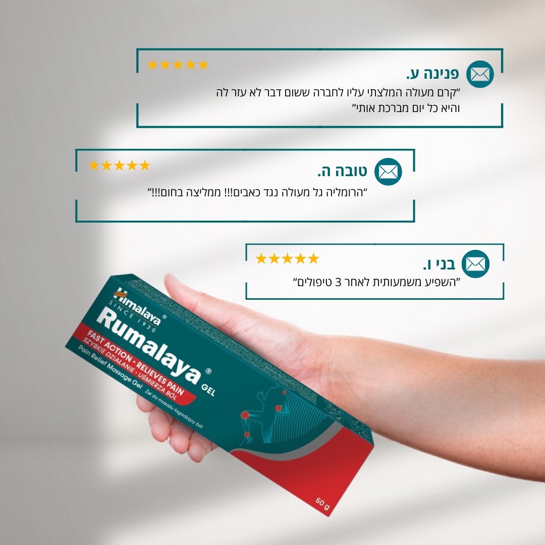 514355409 1318485383616611 6974266900812768282 n