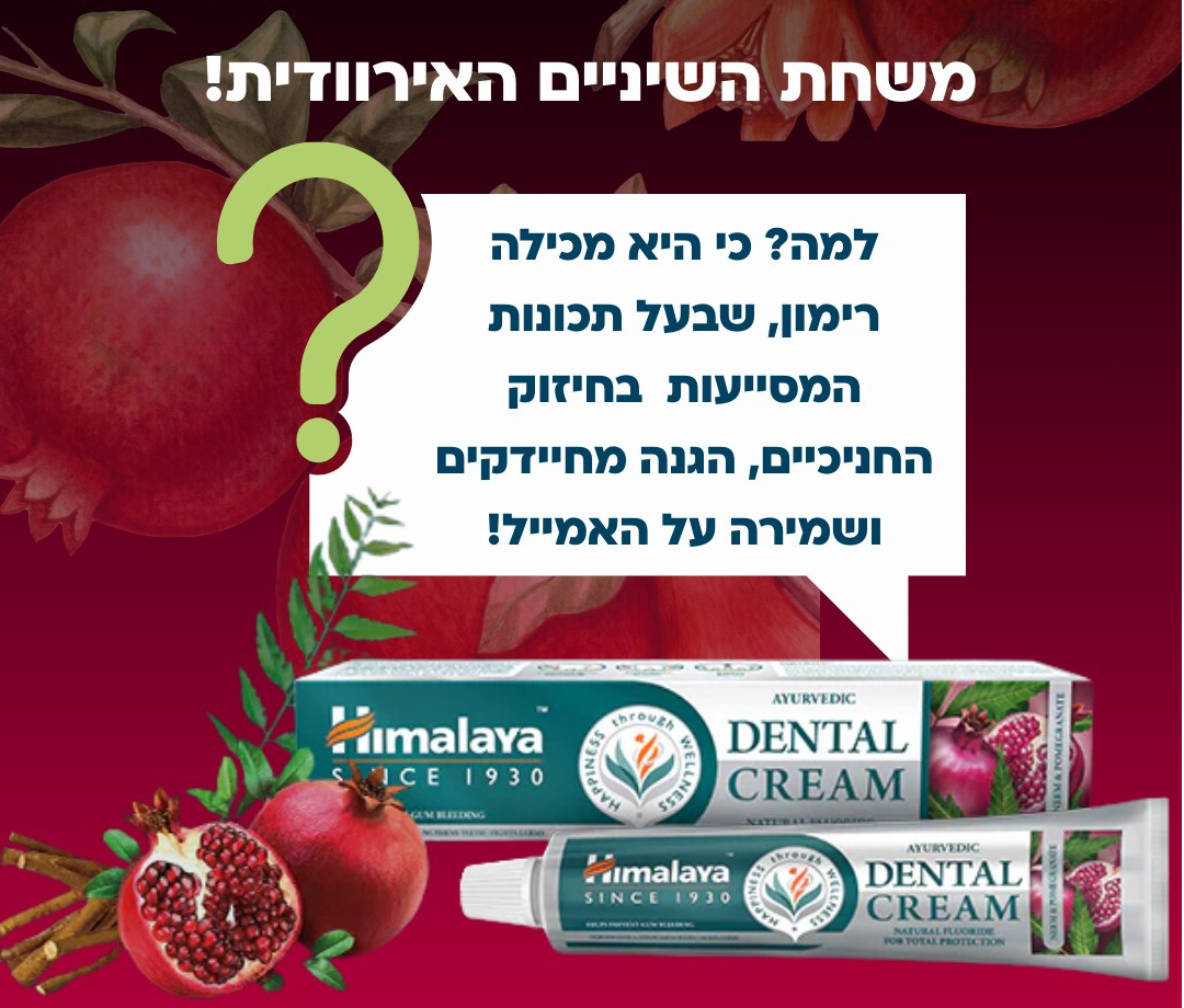 540698339 1386156403516175 1180658904072462590 n