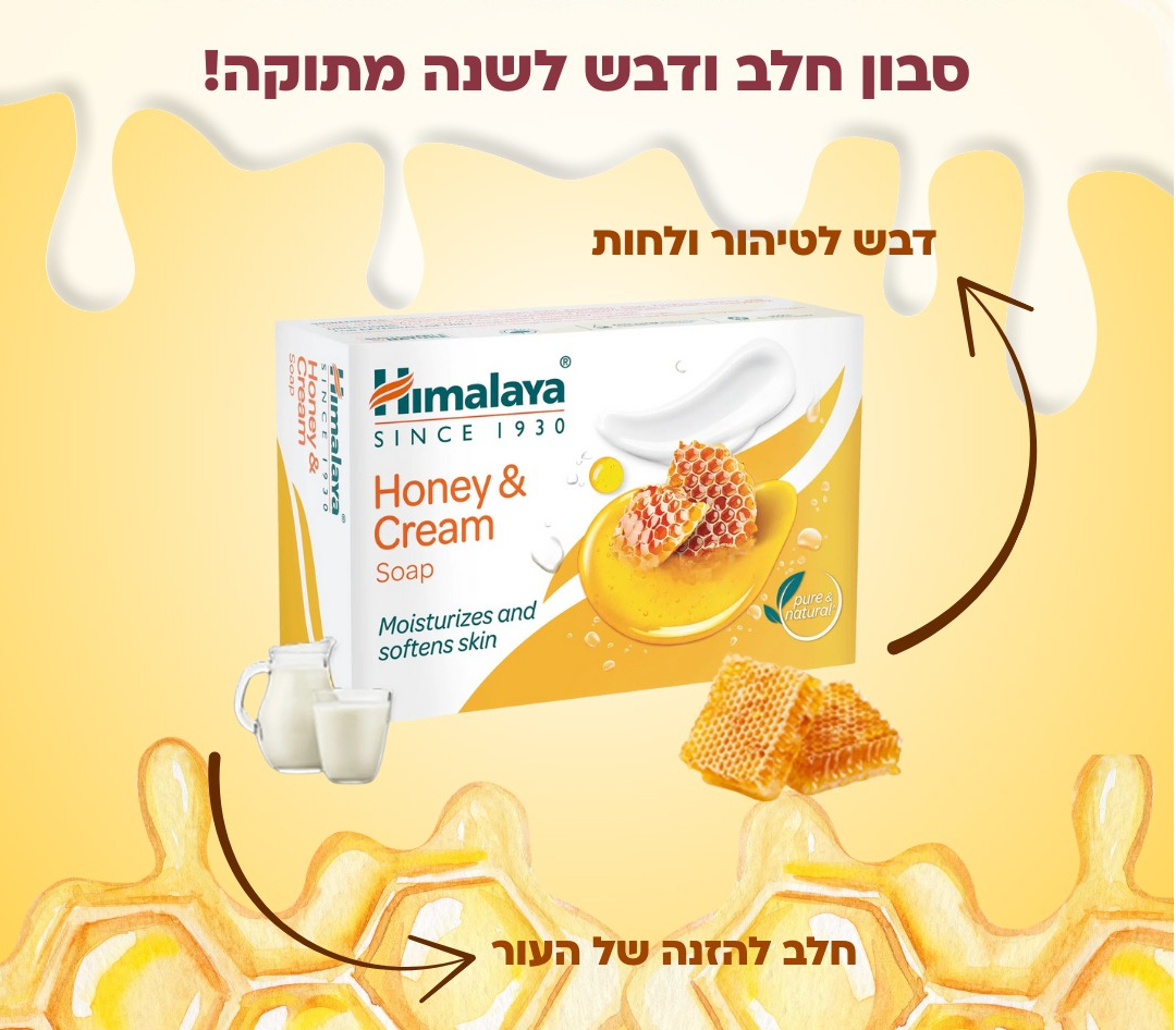 543107218 1386152926849856 7895779356479970297 n