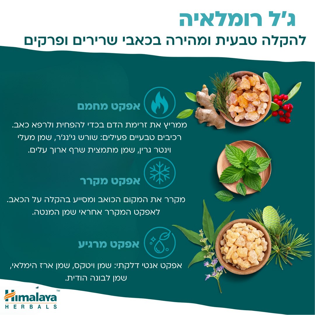 608955661 1515200513945096 8335711758773632807 n