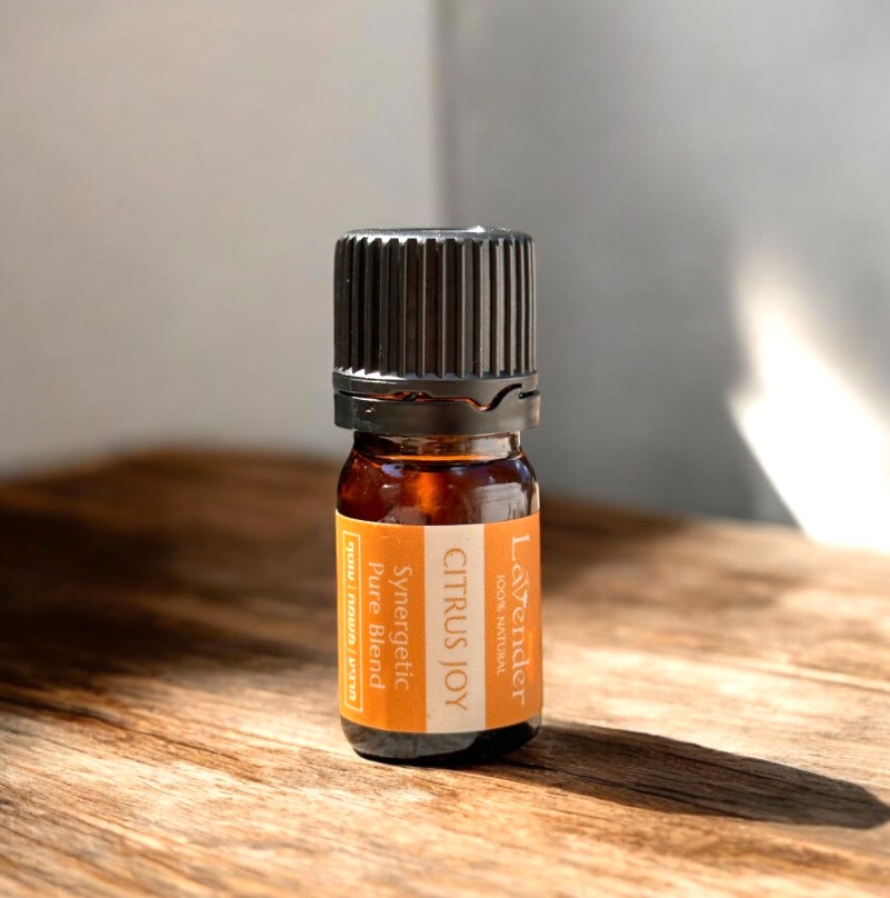 Scalp massage brush2