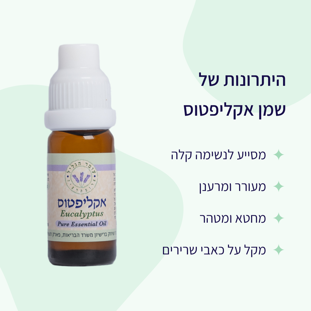 יתרונות שמן אתרי אקליפטוס עומר הגליל