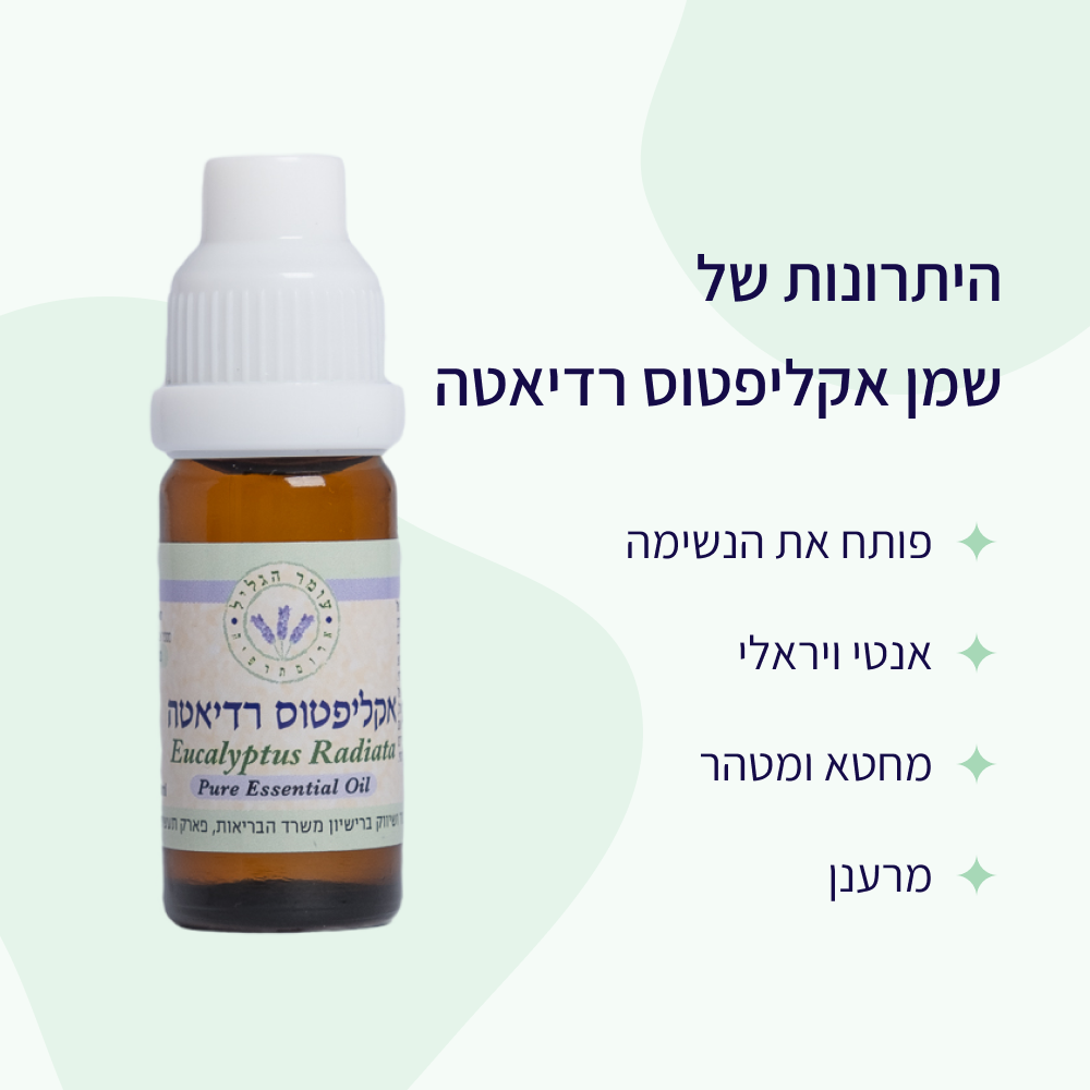 יתרונות שמן אתרי אקליפטוס רדיאטה עומר הגליל