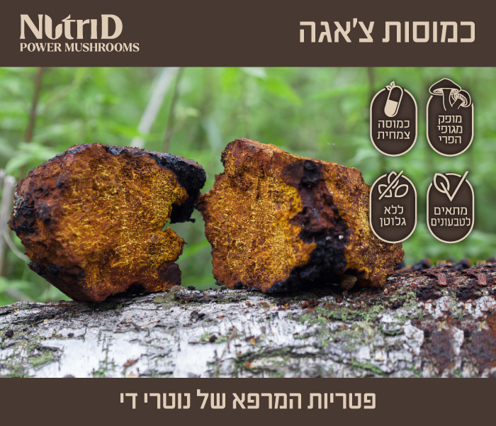 NutriD Tarmela Banner A 700x600