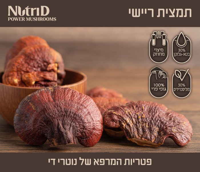 NutriD Reishi Banner 700x600 new