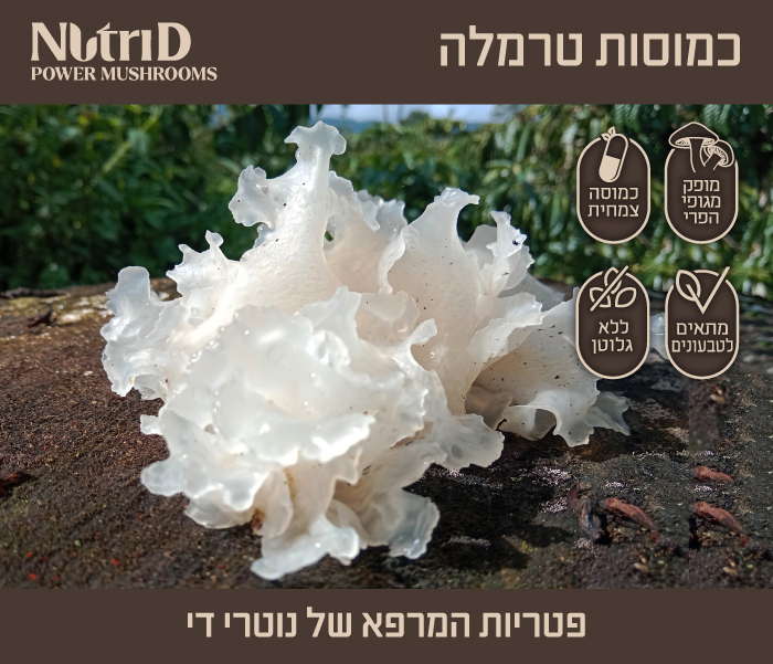 NutriD Tarmela Banner A 700x600