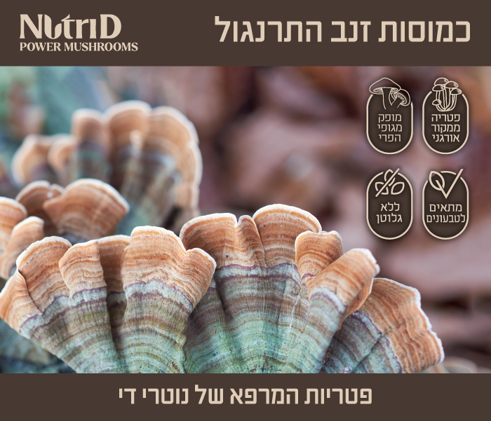 NutriD Turki Tail Banner 700x600 new