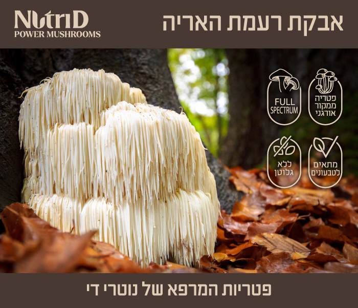 NutriD Lions Mane Banner 700x600new4