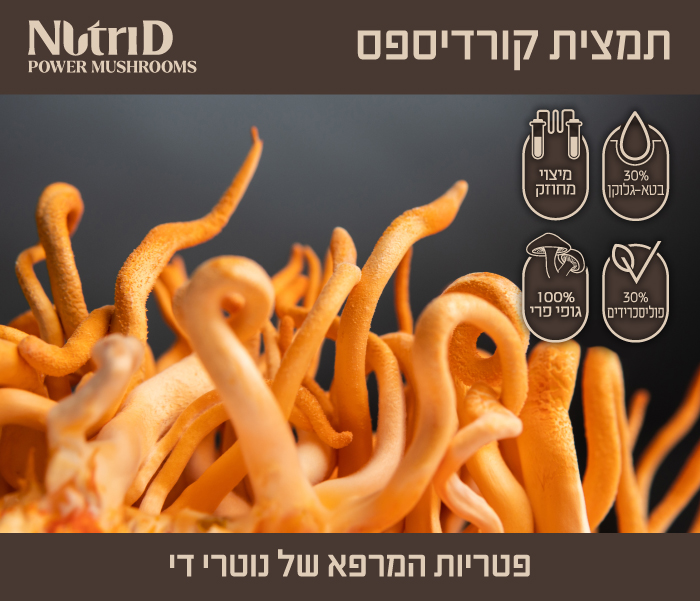 Cordyceps Desktop