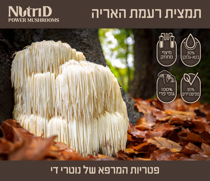 Cordyceps Desktop