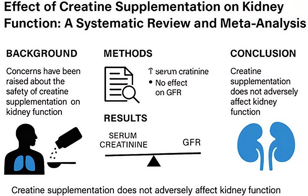 קריאטין סכנות: האם הוא מזיק לכליות? | טבע בריא