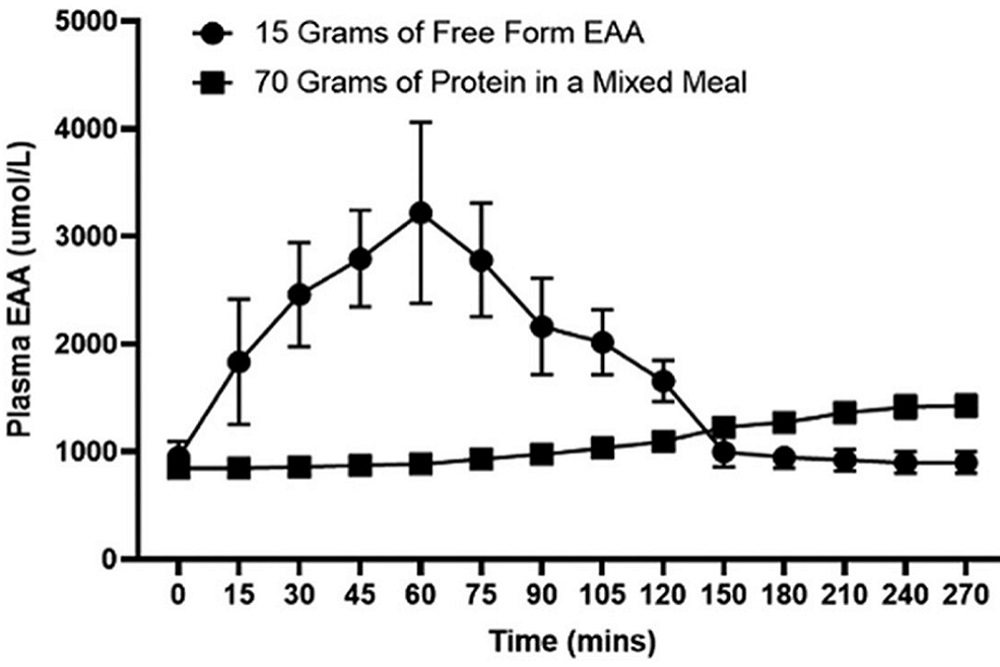 איך נכנסים למצב אנאבולי עם EAA | טבע בריא