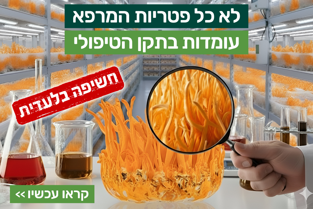 המדריך המלא לבחירת פטריות מרפא | טבע בריא