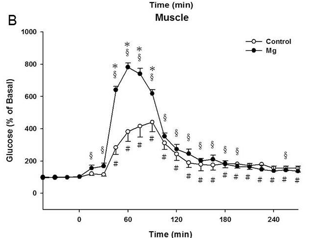 מגנזיום חיוני לפיתוח שריר | טבע בריא