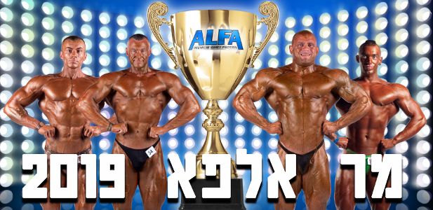 mr alfa banner