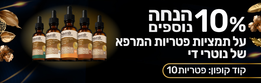 Black Friday Mashroom EX Banner881x280 B