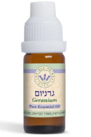 Geranium-שמן-אתרי-גרניום